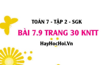 Bài 7.9 trang 30 Toán 7 Tập 2 Kết nối tri thức